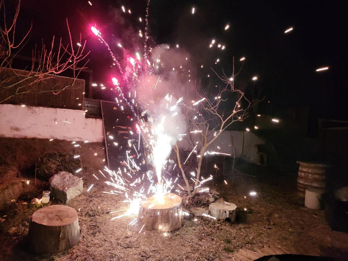 Pensiunea 4 Salcii Băltenii de Sus Eksteriør billede